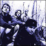 ���� ����